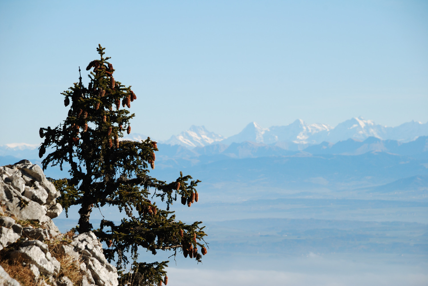 Aiguilles de Baulmes (Jura)