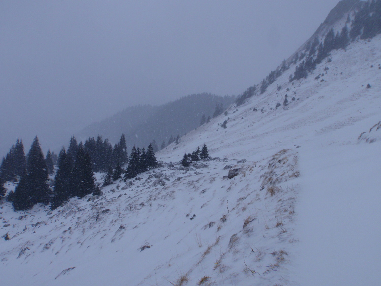 Vue sur la descente