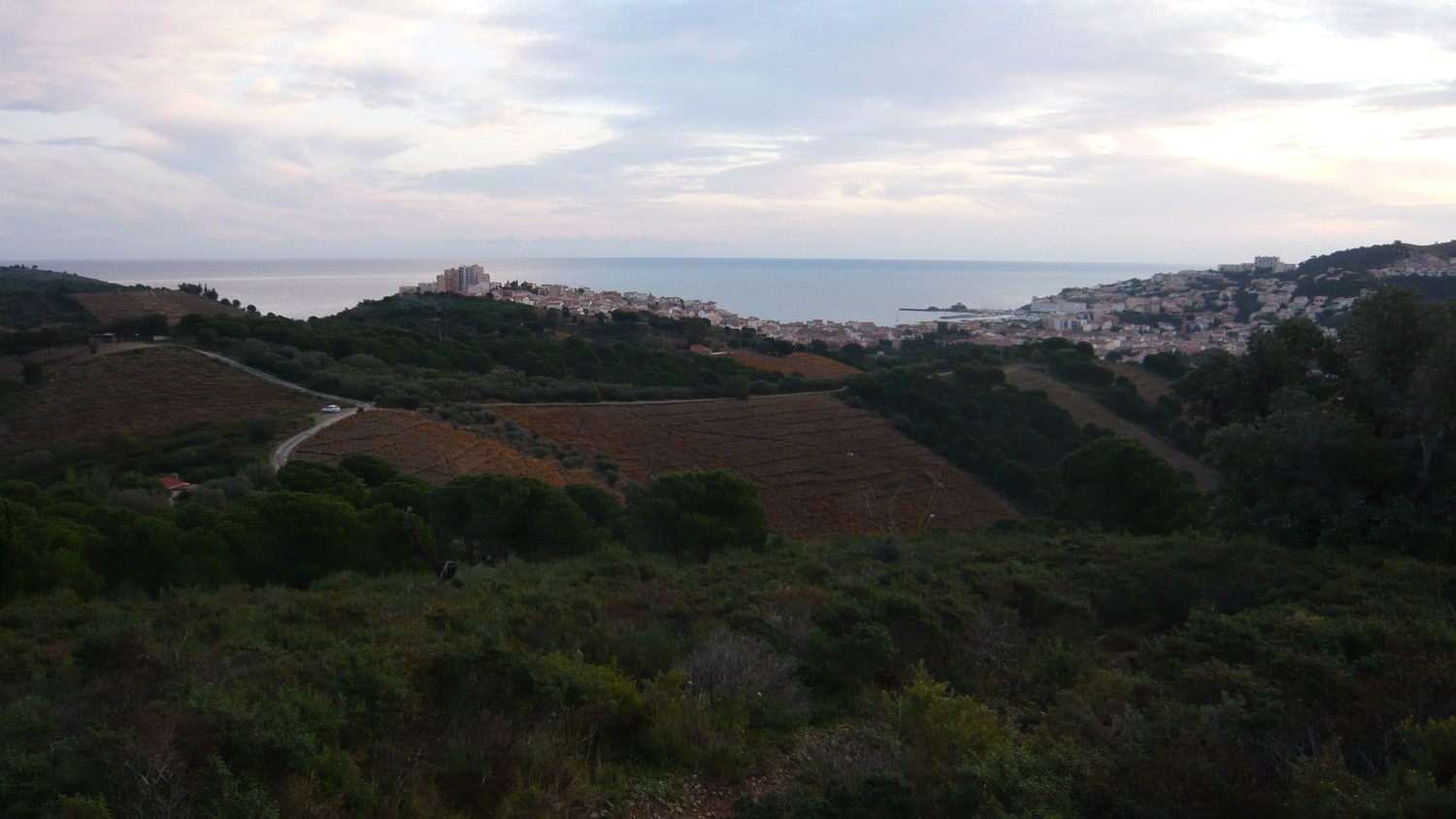 Banyuls de la Marenda