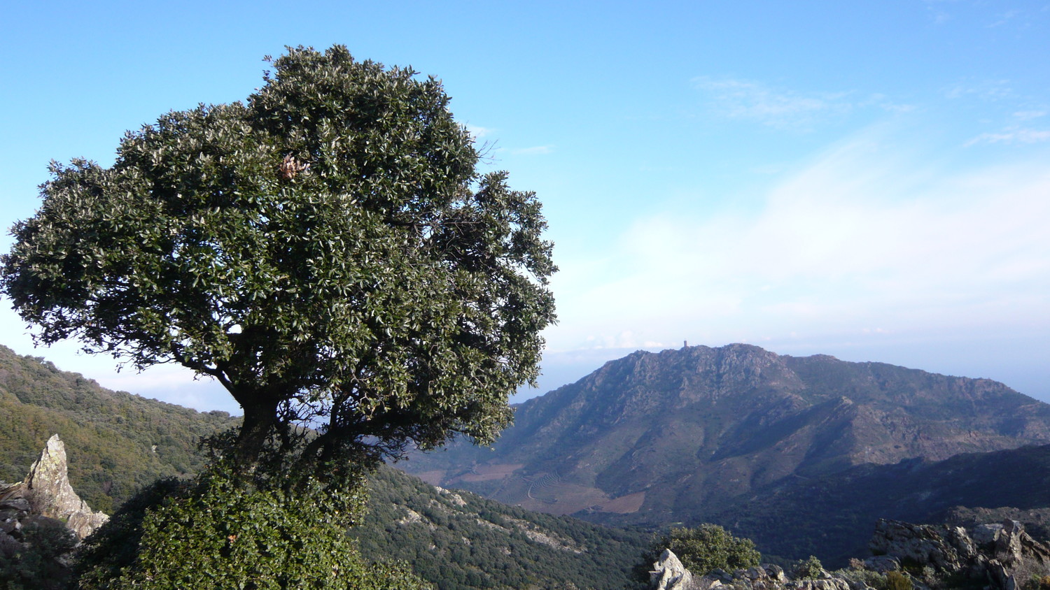Vue sur la tour de Madeloc