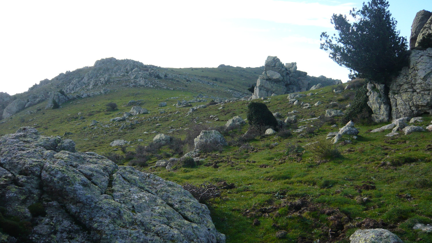 Le Sallfort