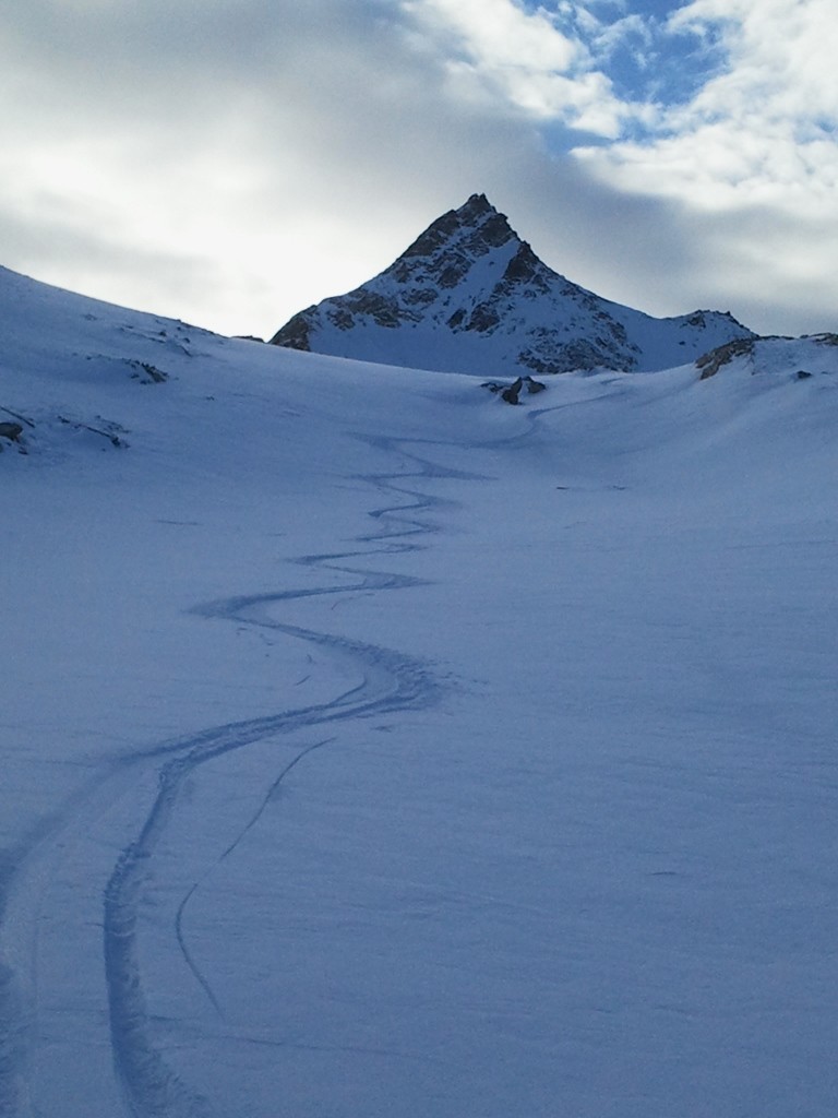Entre les cailloux, il y a de la bonne poudre!!!!