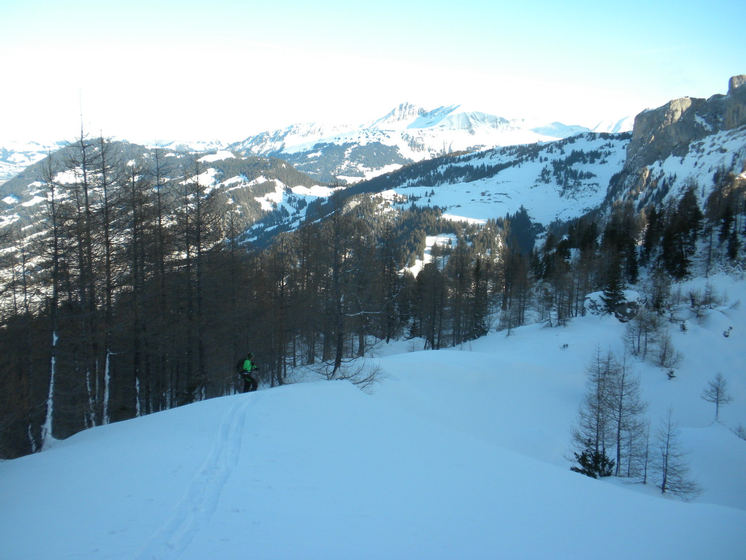 manu sort de la forêt