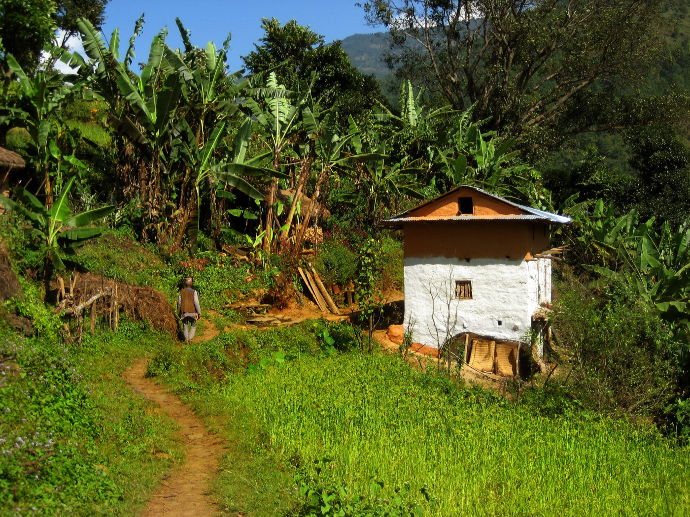 (J1) Sur le chemin de Dholaka