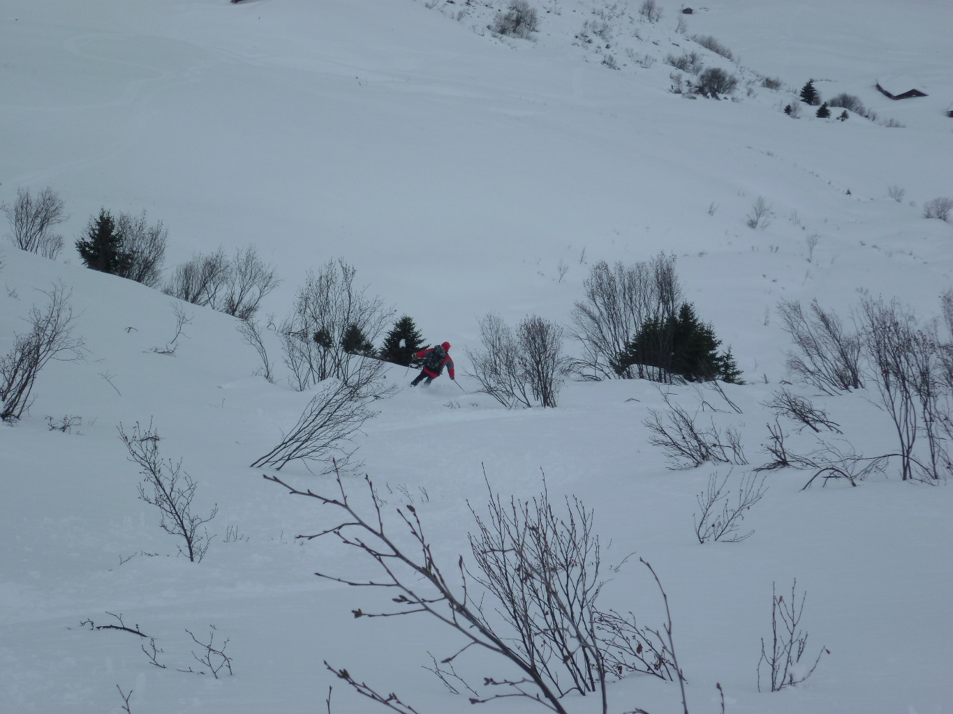 Bon ski dans les vernes