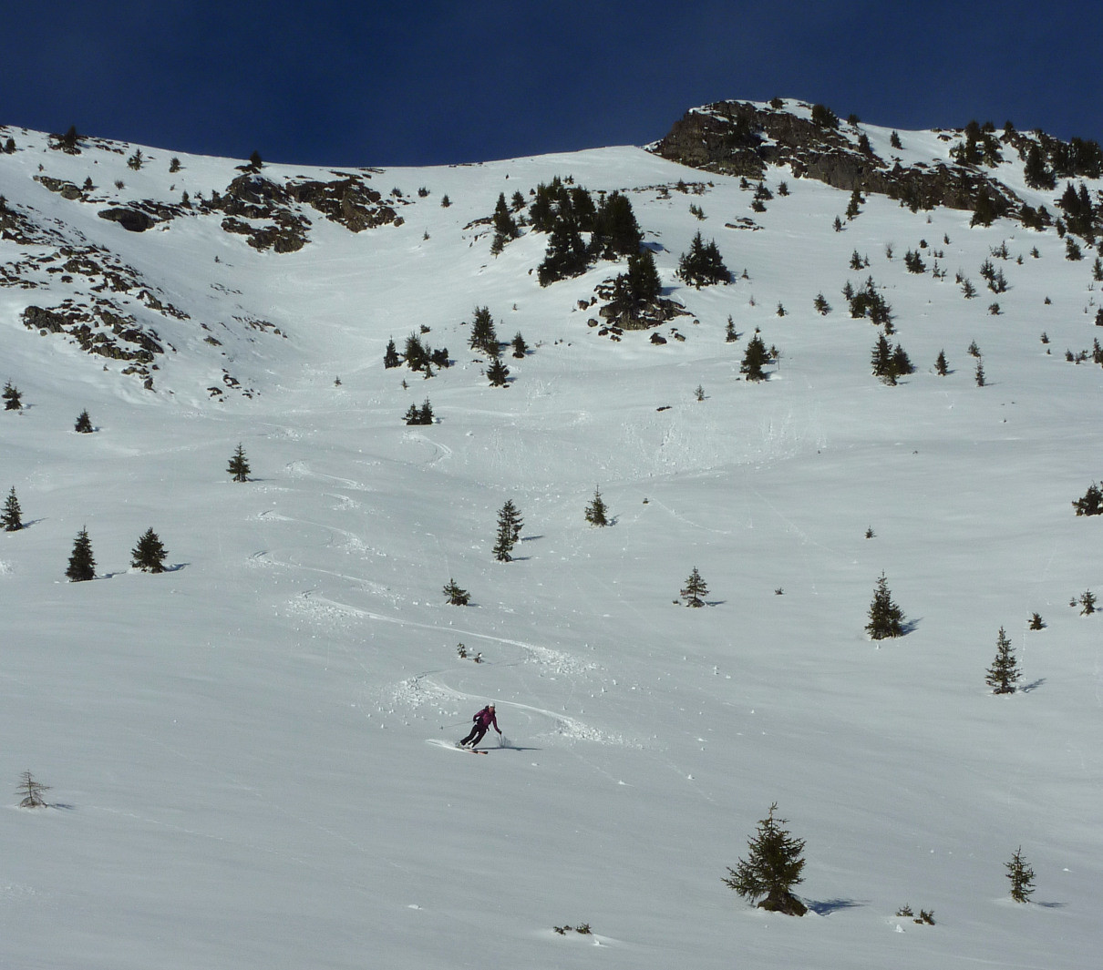 Dans le versant SE de Roche Plane