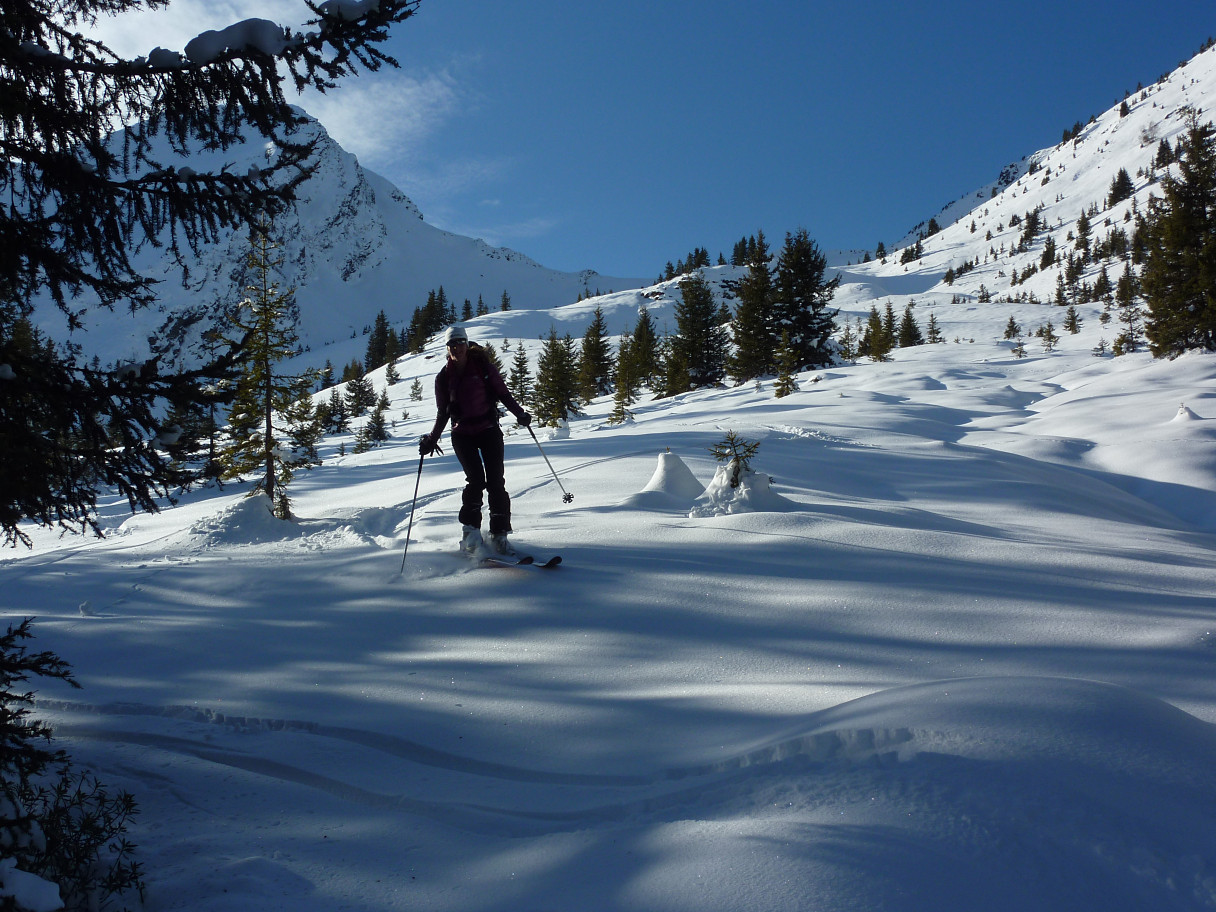 Descente sous le pied de Roche Plane