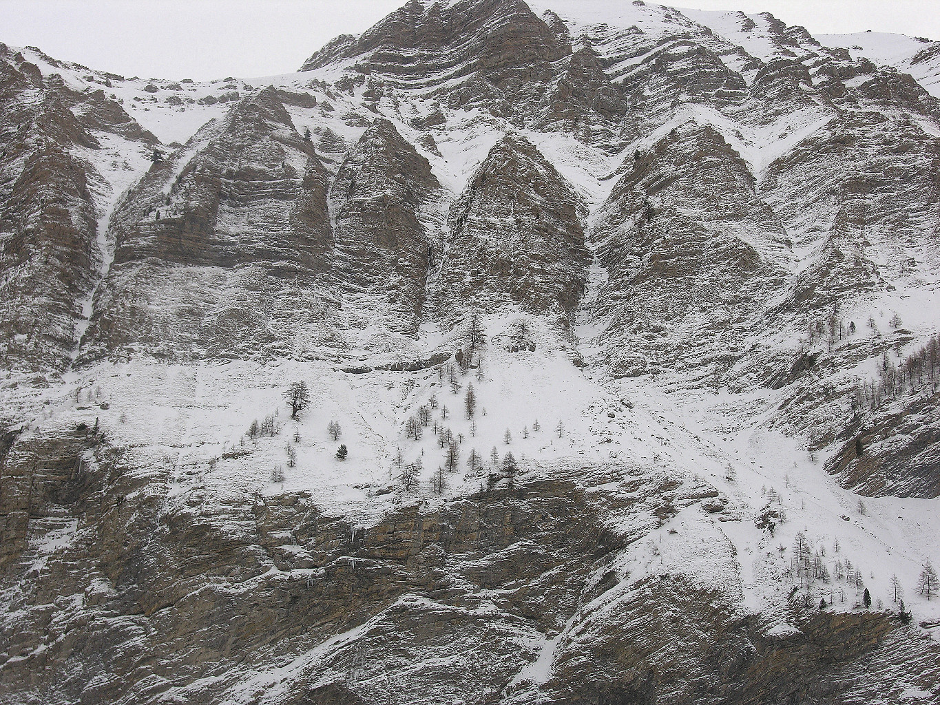 naïa et ses voisines