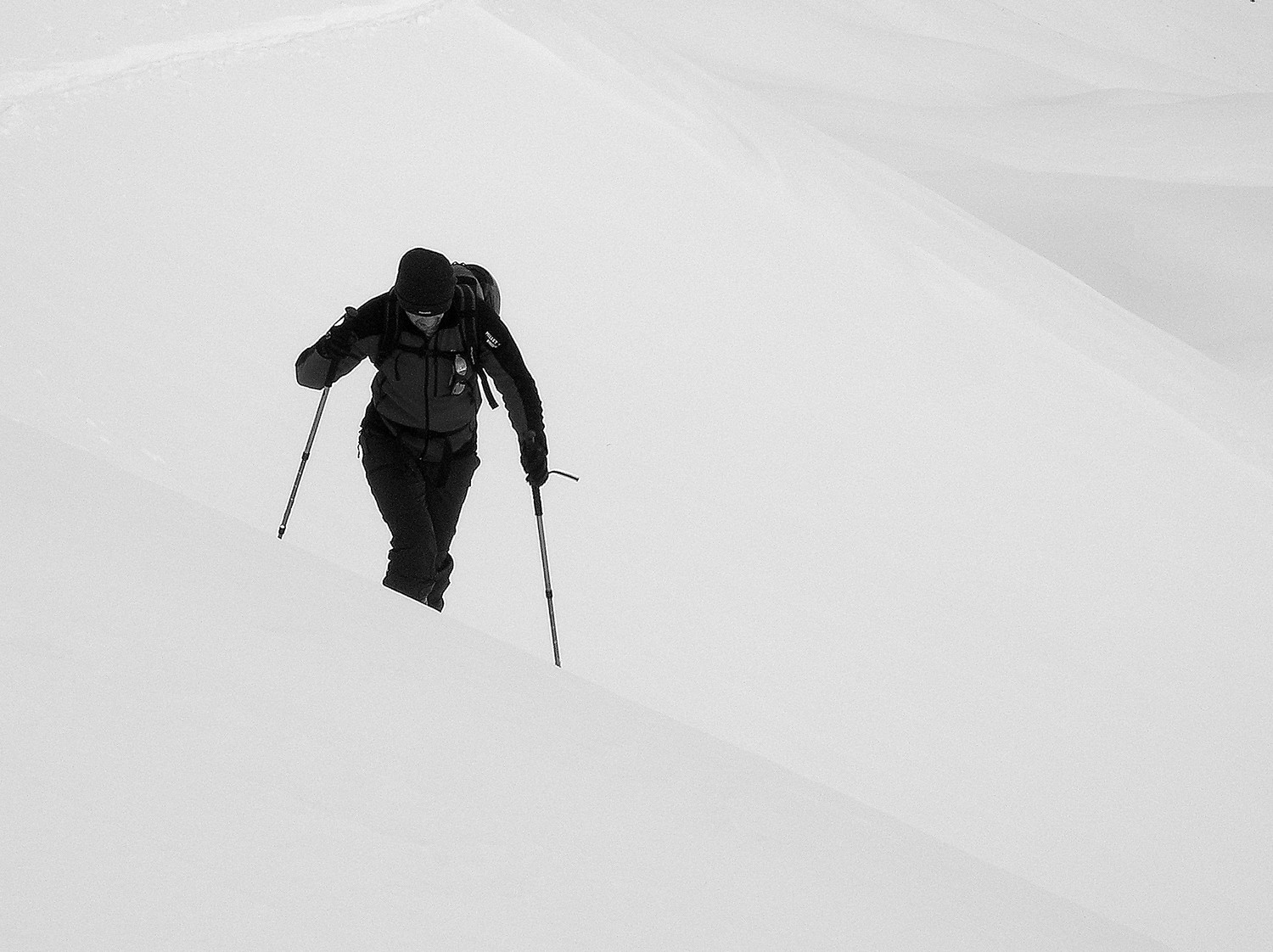 que du blanc
