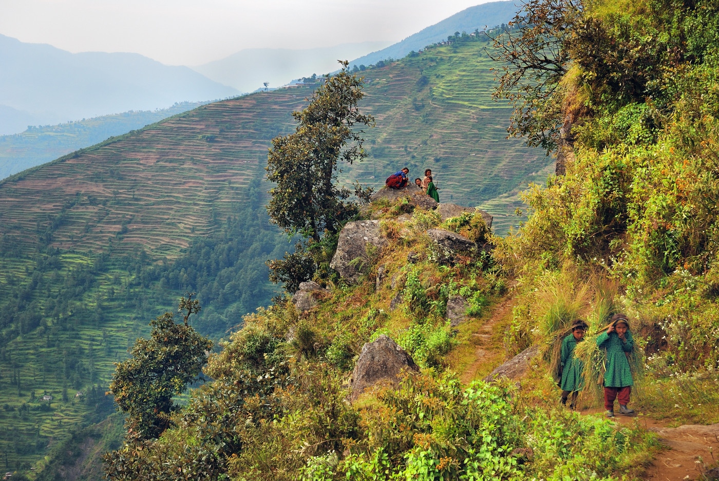 (J3) Entre Orang et Gongar