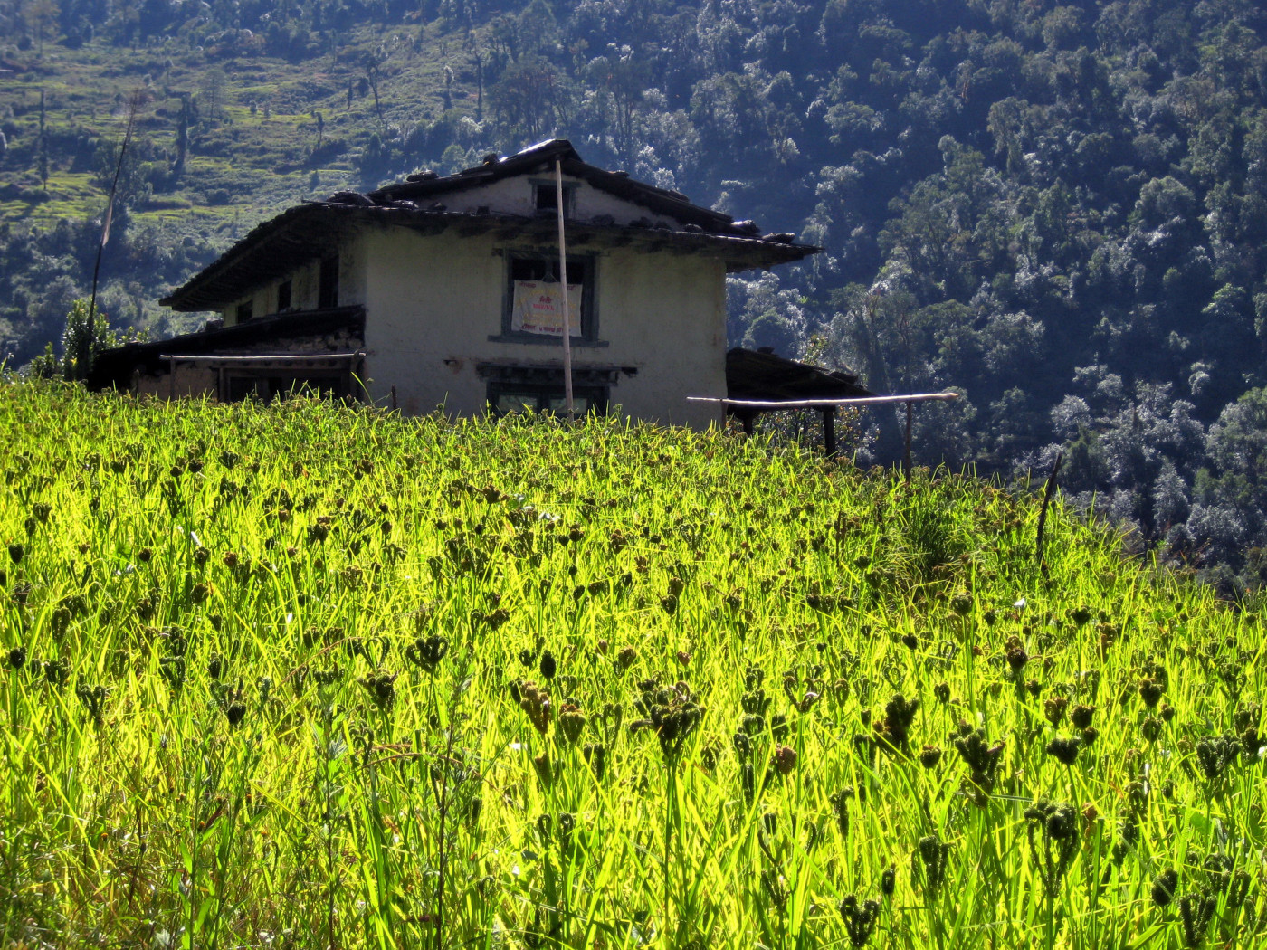 (J4) Simigaon