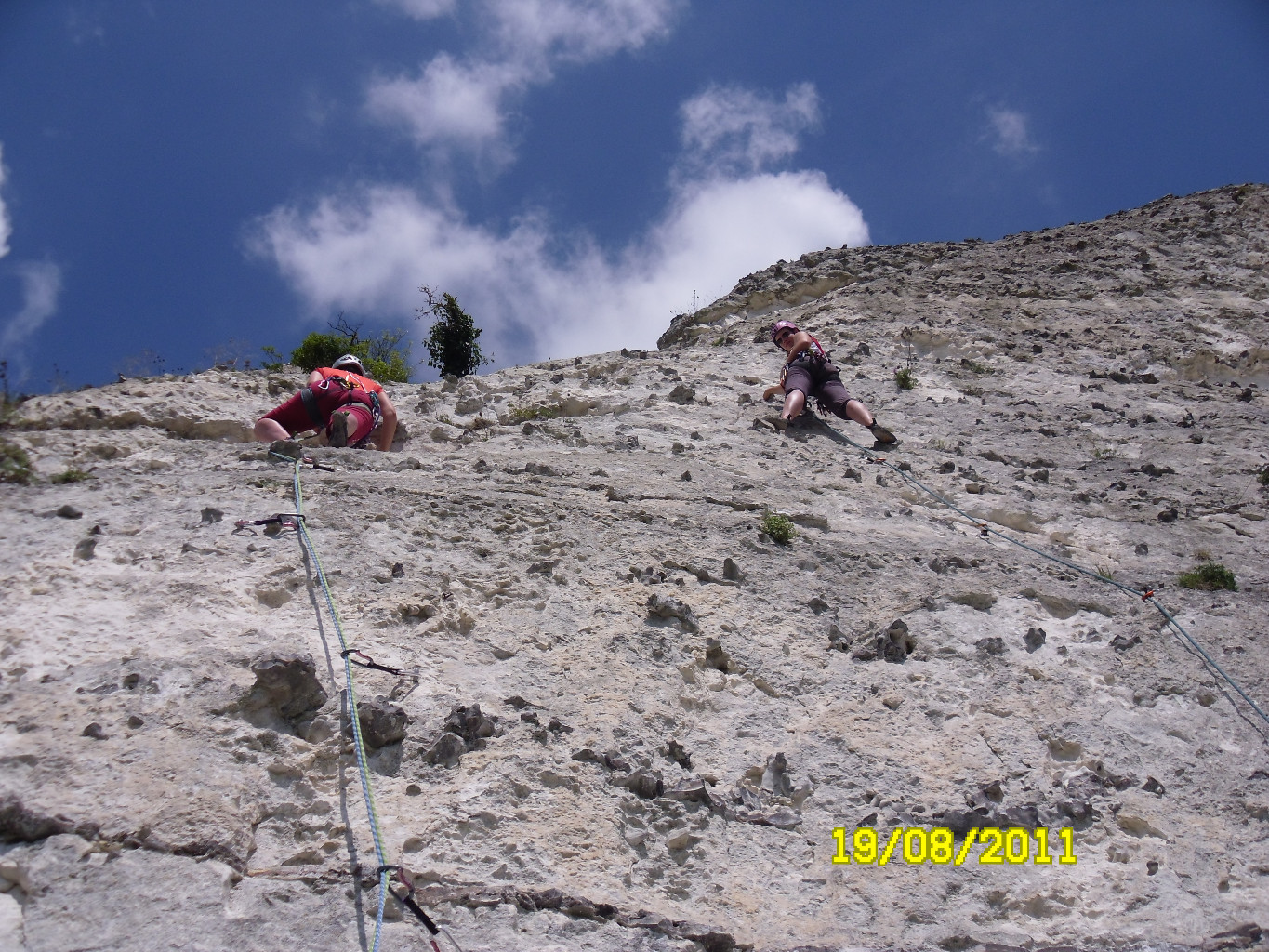 Secteur Dinausaure