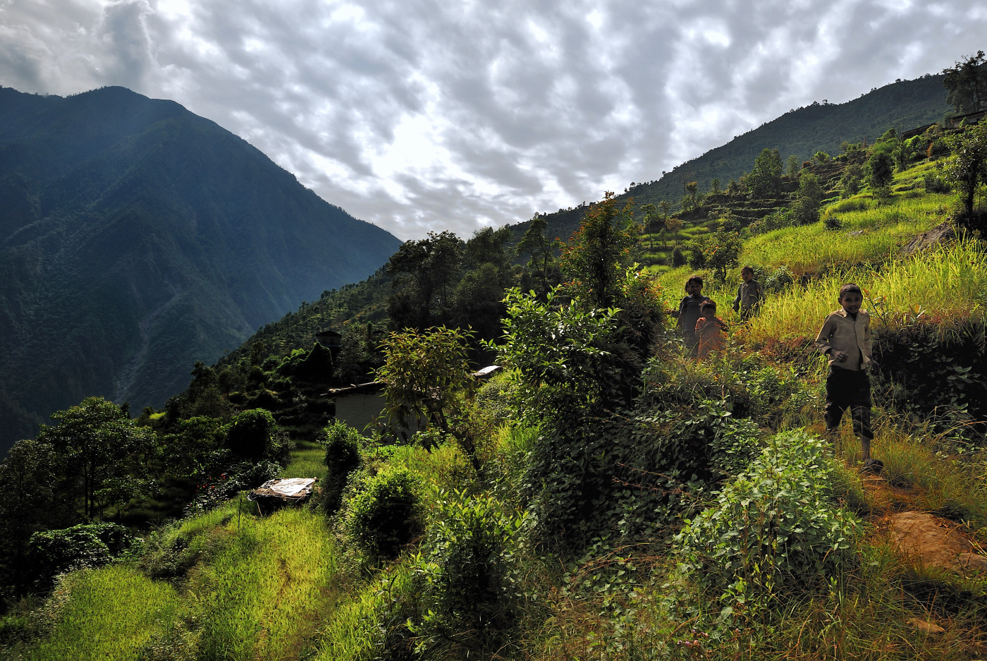 (J3) Entre Orang et Gongar