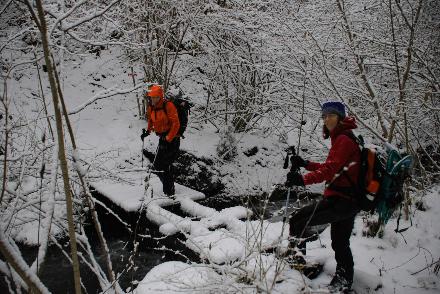 Pont délicat au début du sentier