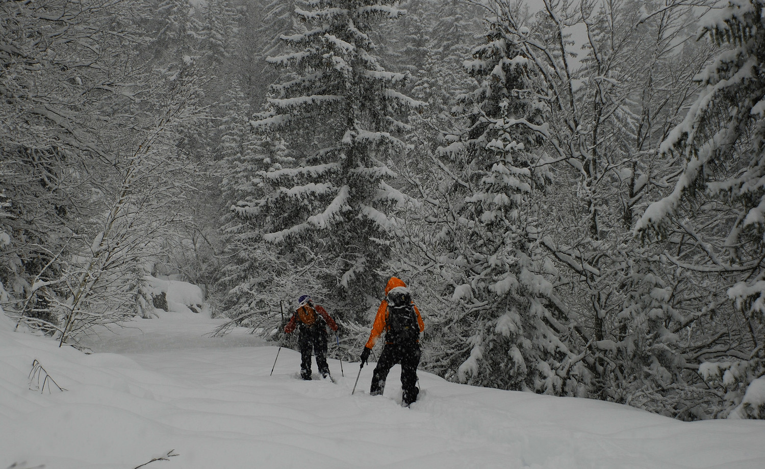Trace laborieuse sous le Lac Vert