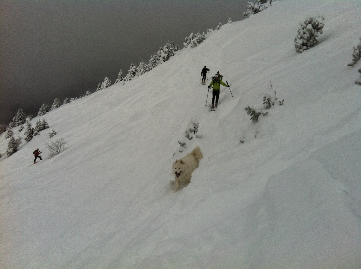 descente