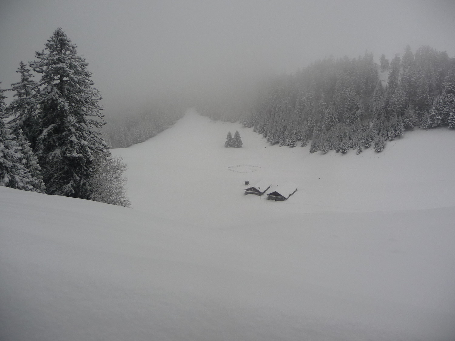 le plateau de l'Arpettaz