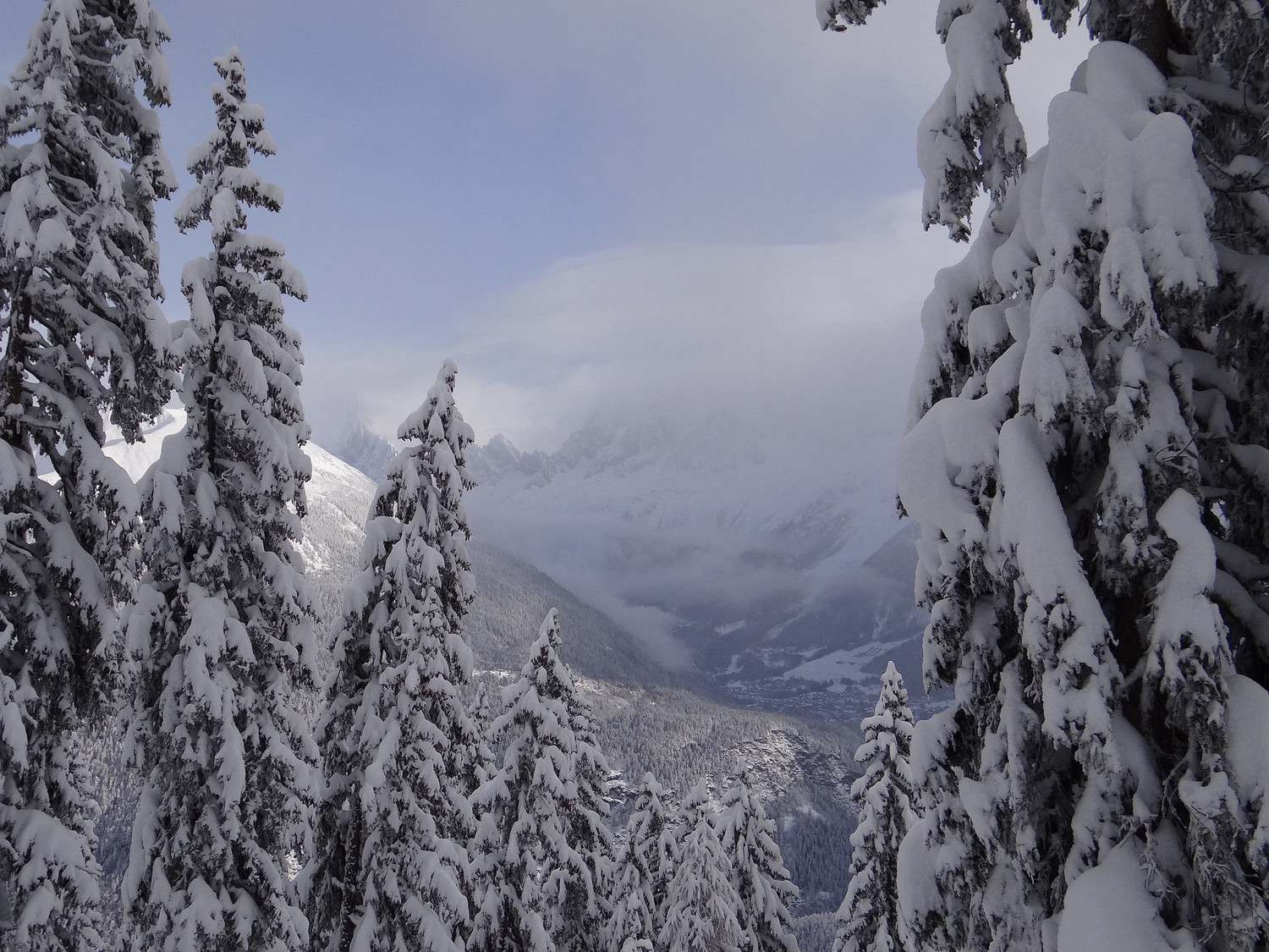 Vallée de Chamonix depuis tête Noire