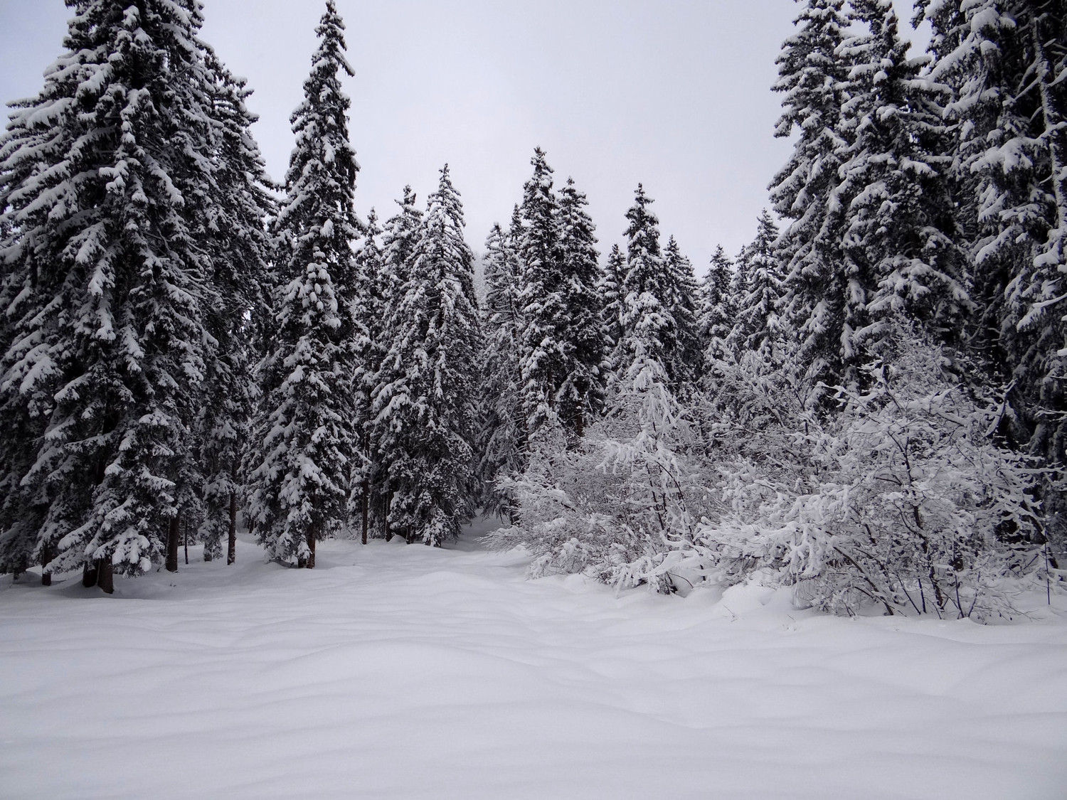 Arrivée au col de la Forclaz