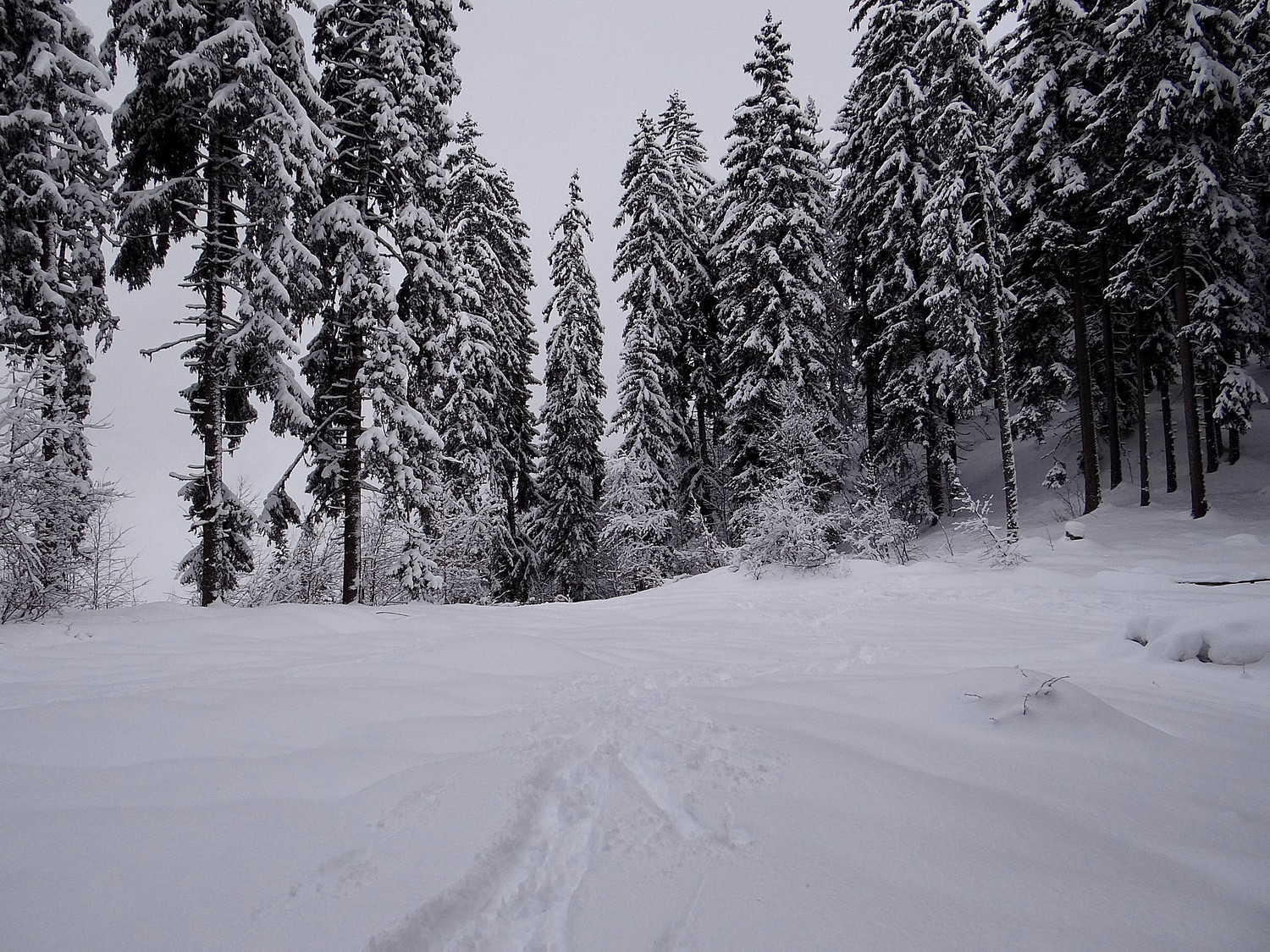 col de la Forclaz (entre le Prarion et tête Noire)