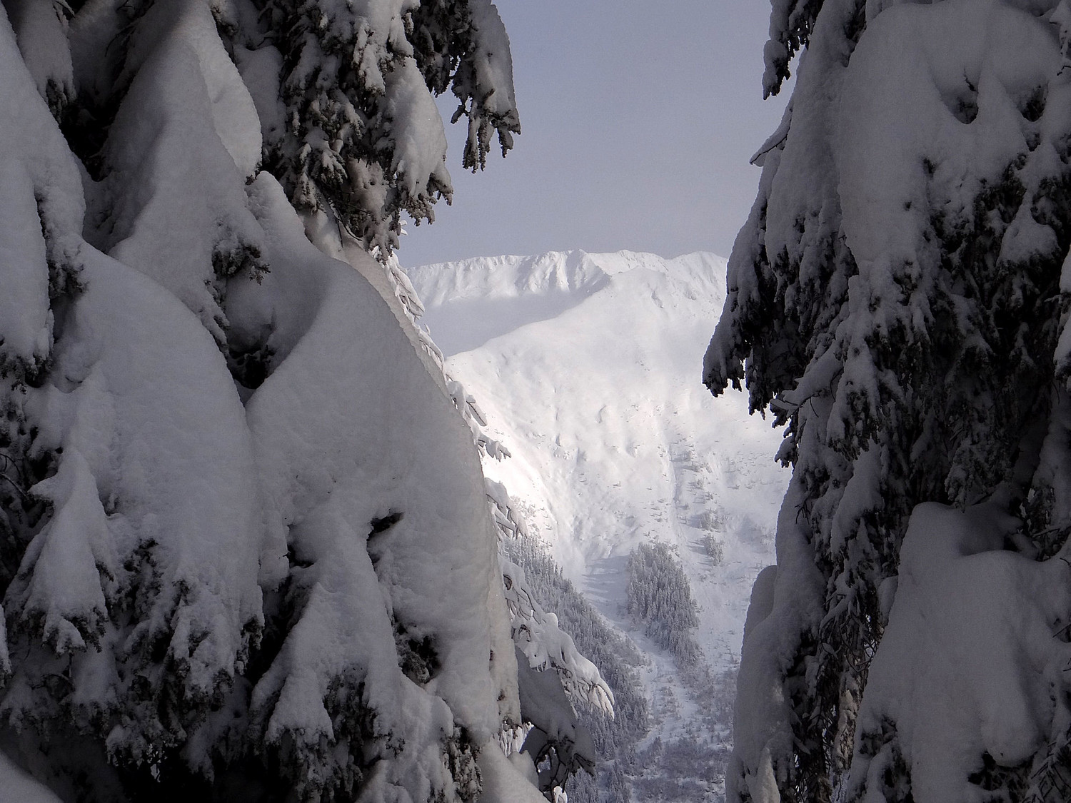 Aperçue sur une aiguillette des Houches bien chargée en face W