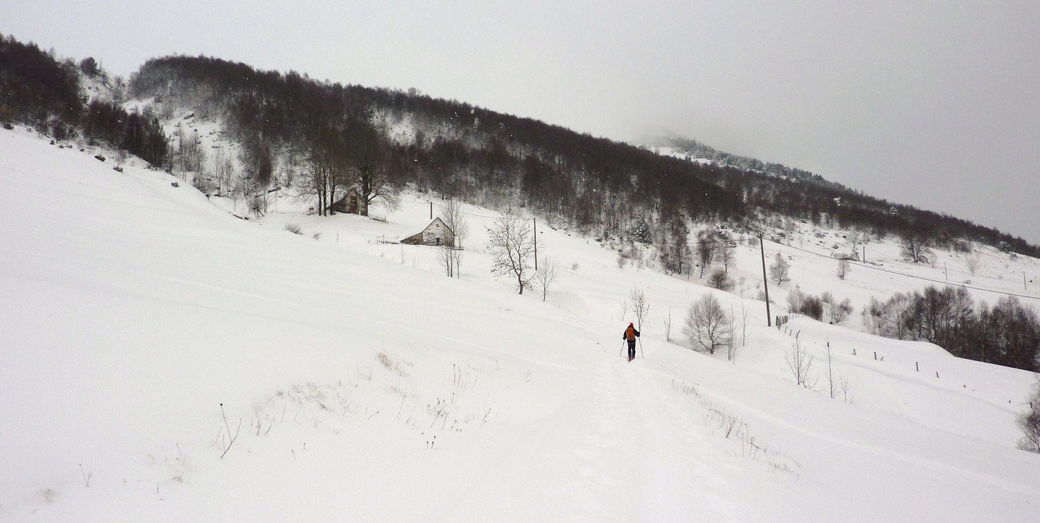 Quelque part dans la montée au Mount Agut