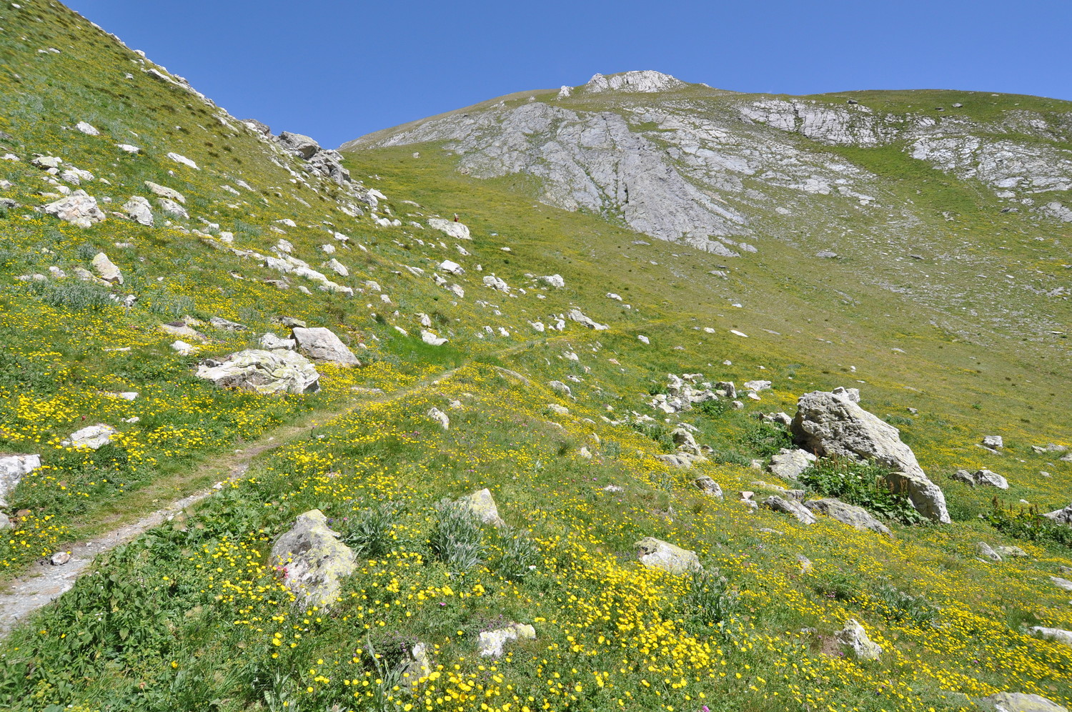 Monte Eighier