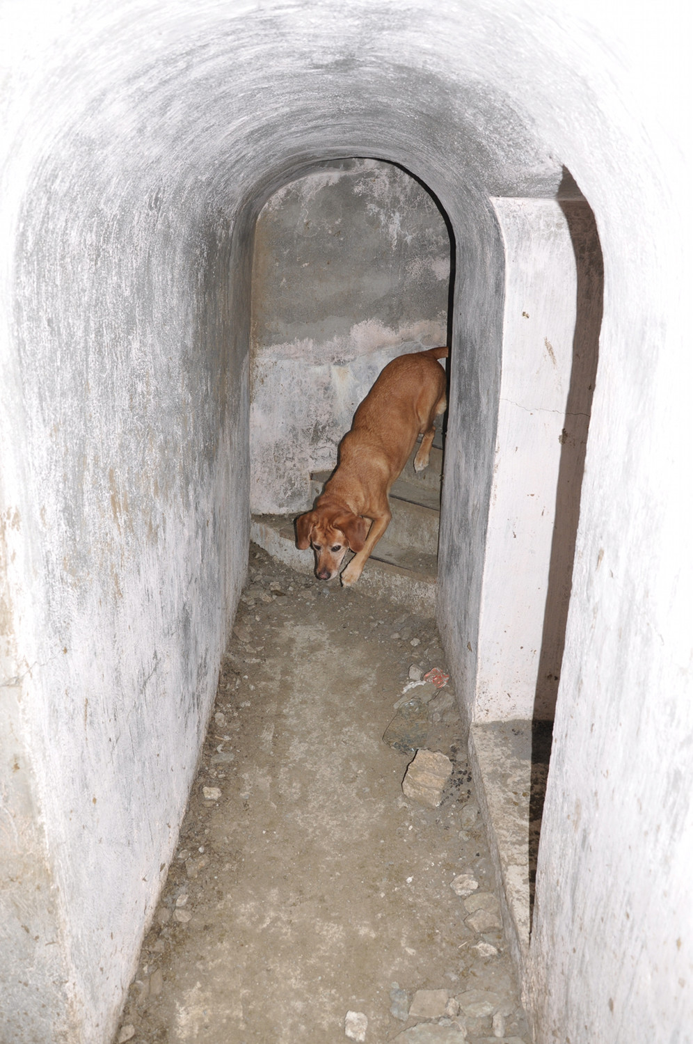 Col Greguri : le Blockhaus