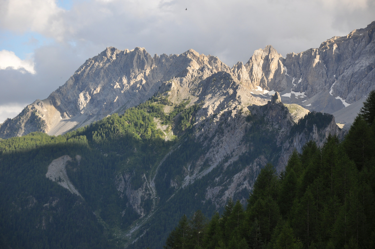 Mont Freid N