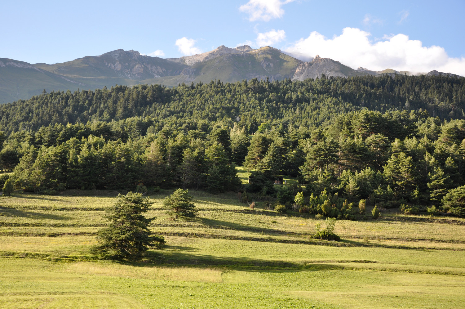 Pointe de Bellecôte