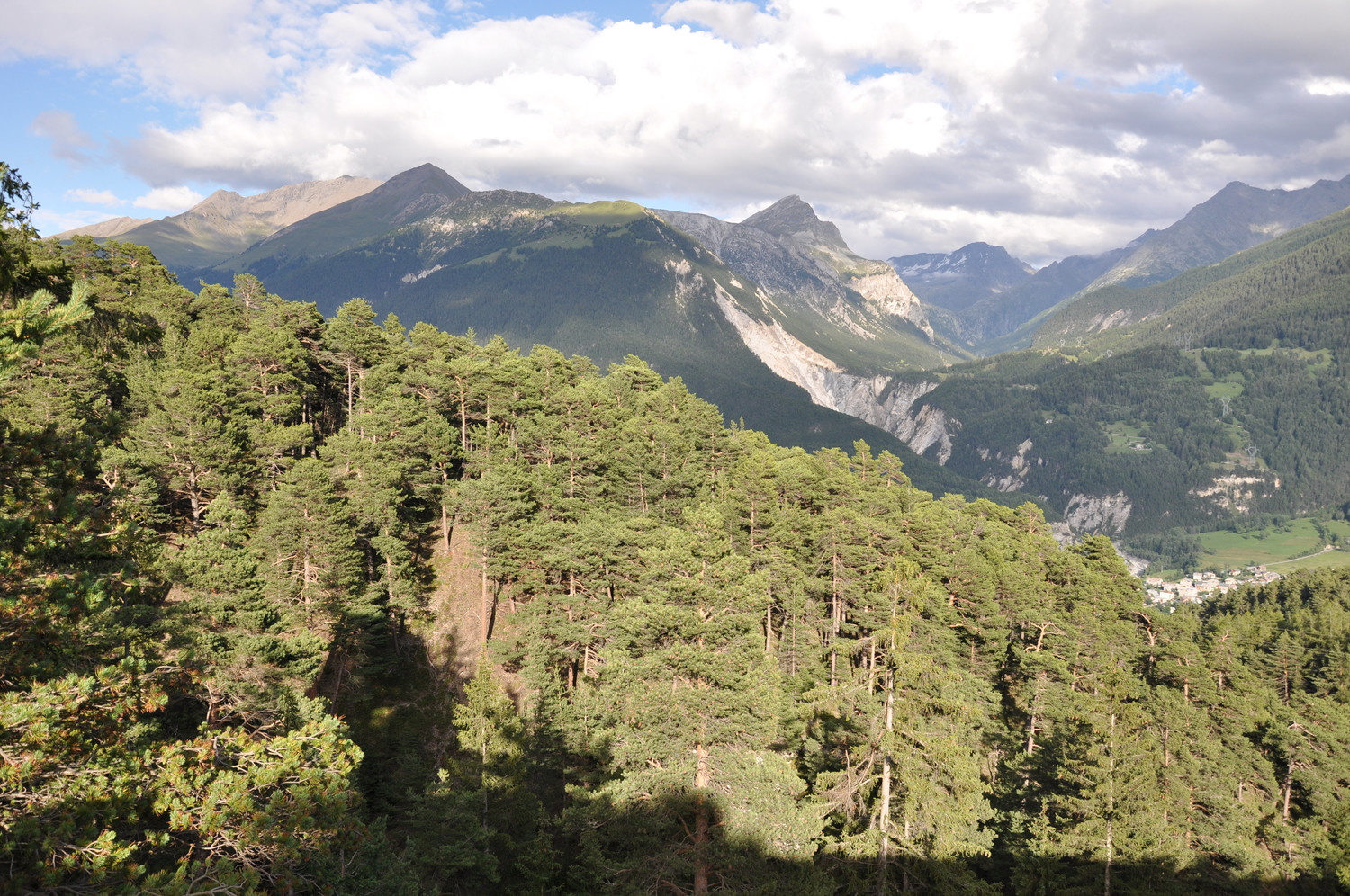 Petit Mont Cenis, Mont Froid, Pointe de Bellecombe, Mont Guisalet, Rocher Cléry, Roche d'Etache