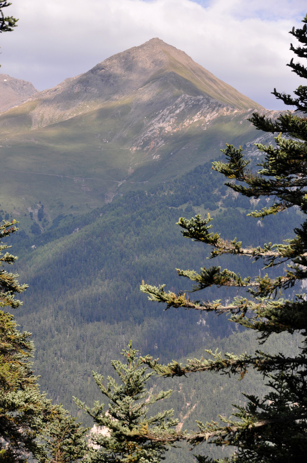 Mont Froid