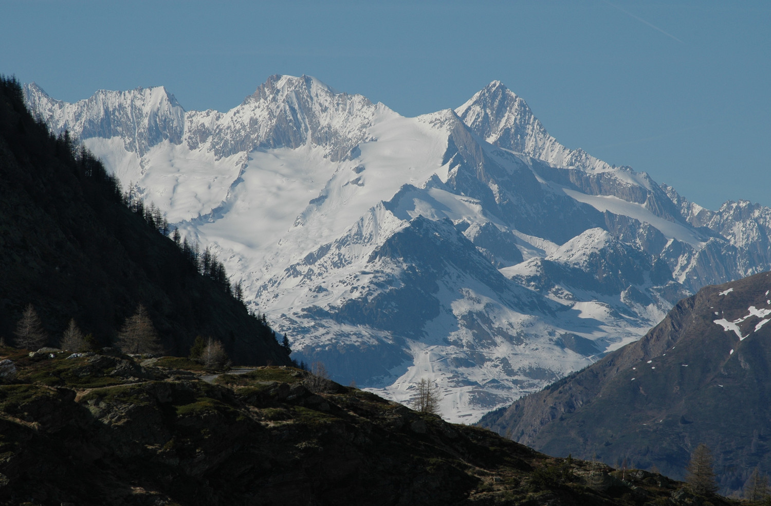 Fiescher Gabelhorn, Gross Wannenhorn, Finsteraarhorn