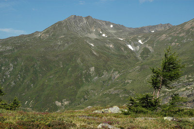 Spitzhorli, par omα