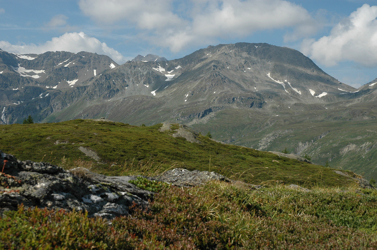 Sirwoltehorn, Galehorn