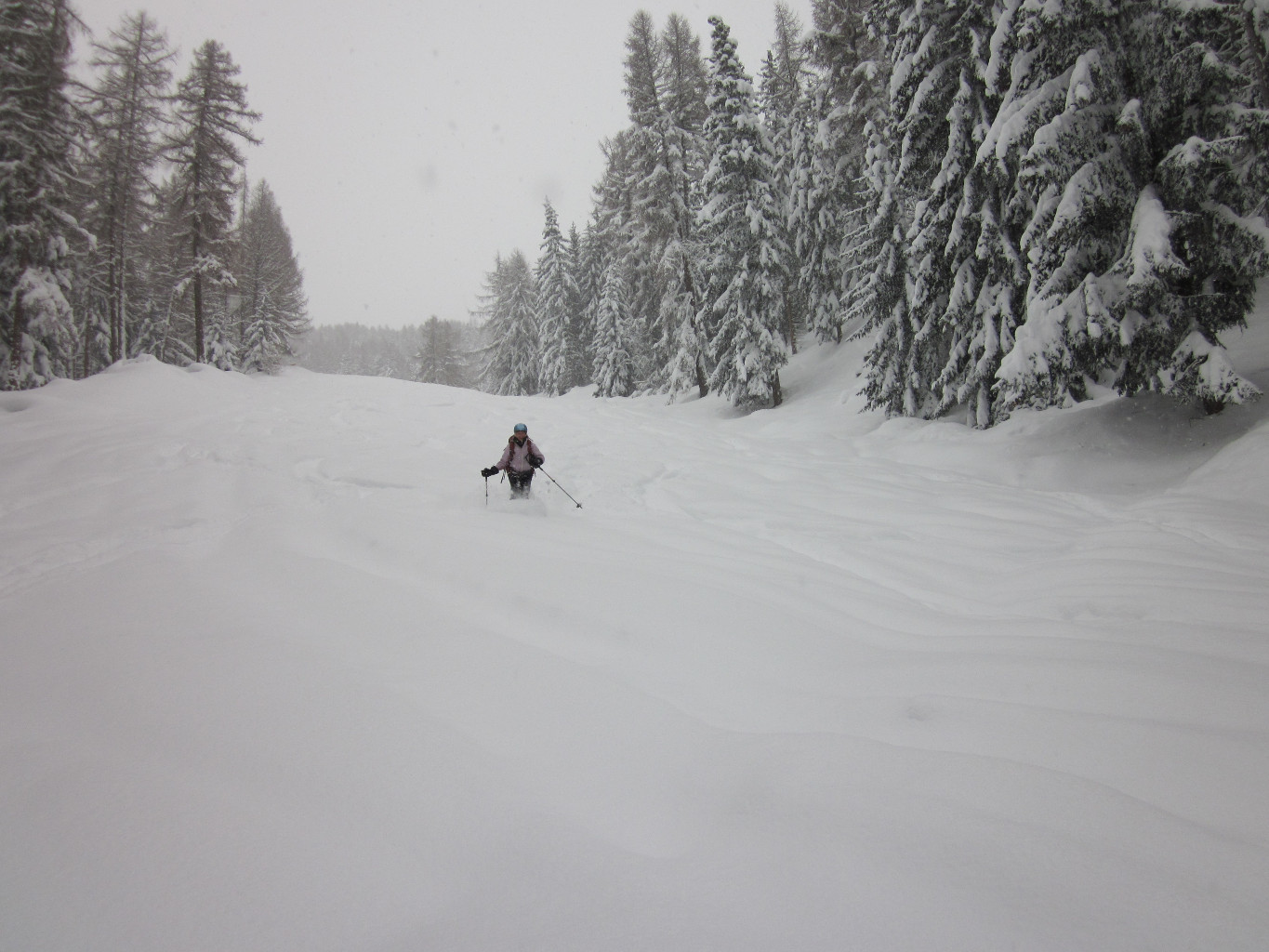 Descente sur le bisse