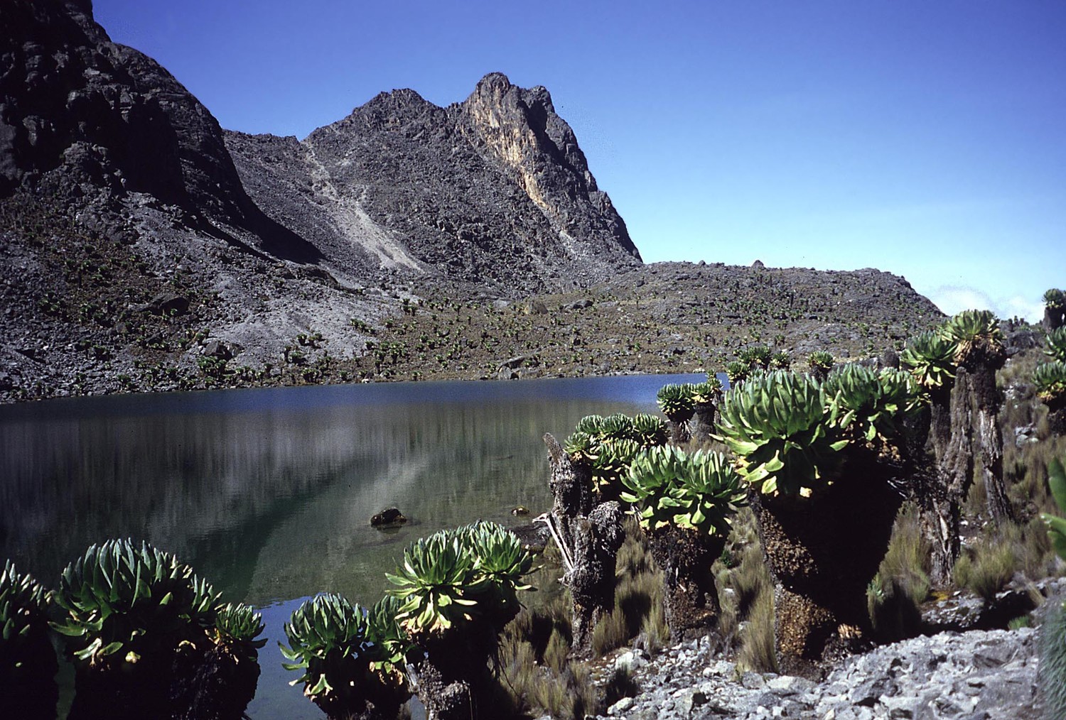 Les 2 étangs (Two Tarns")