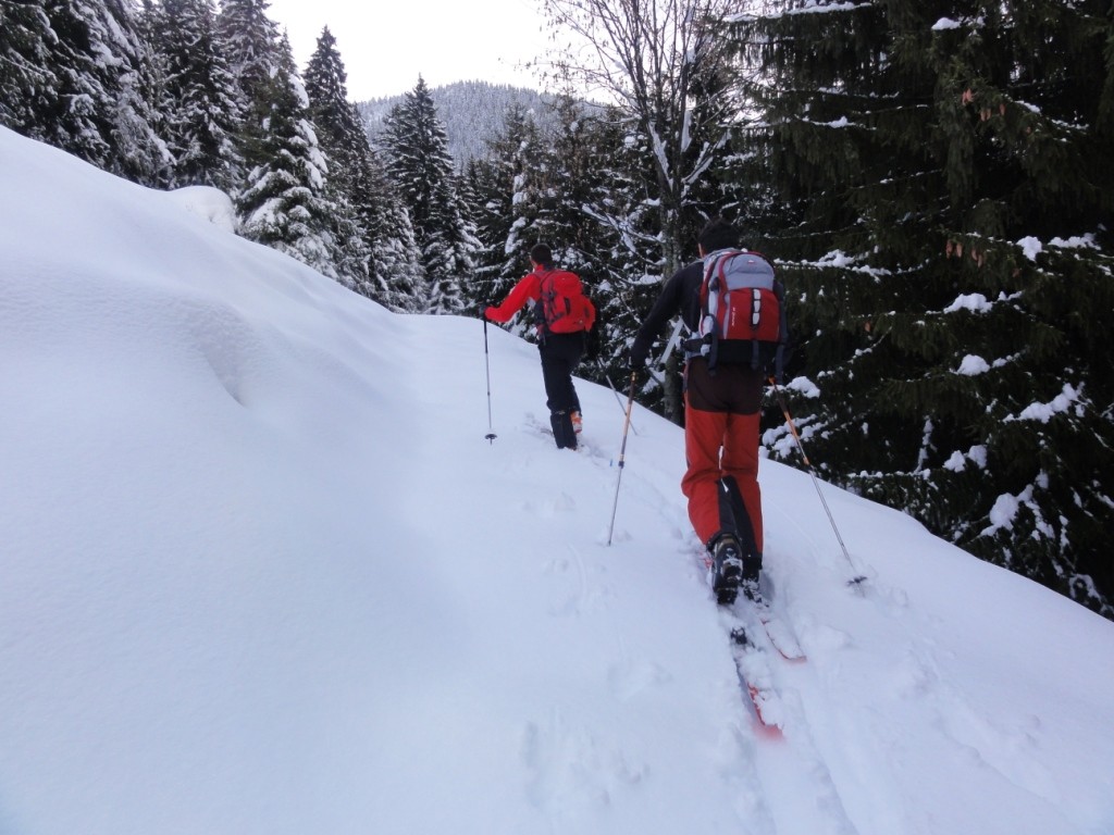 Montée en forêt (1200m à 1400m) dans une neige assez lourde, trace assez physique