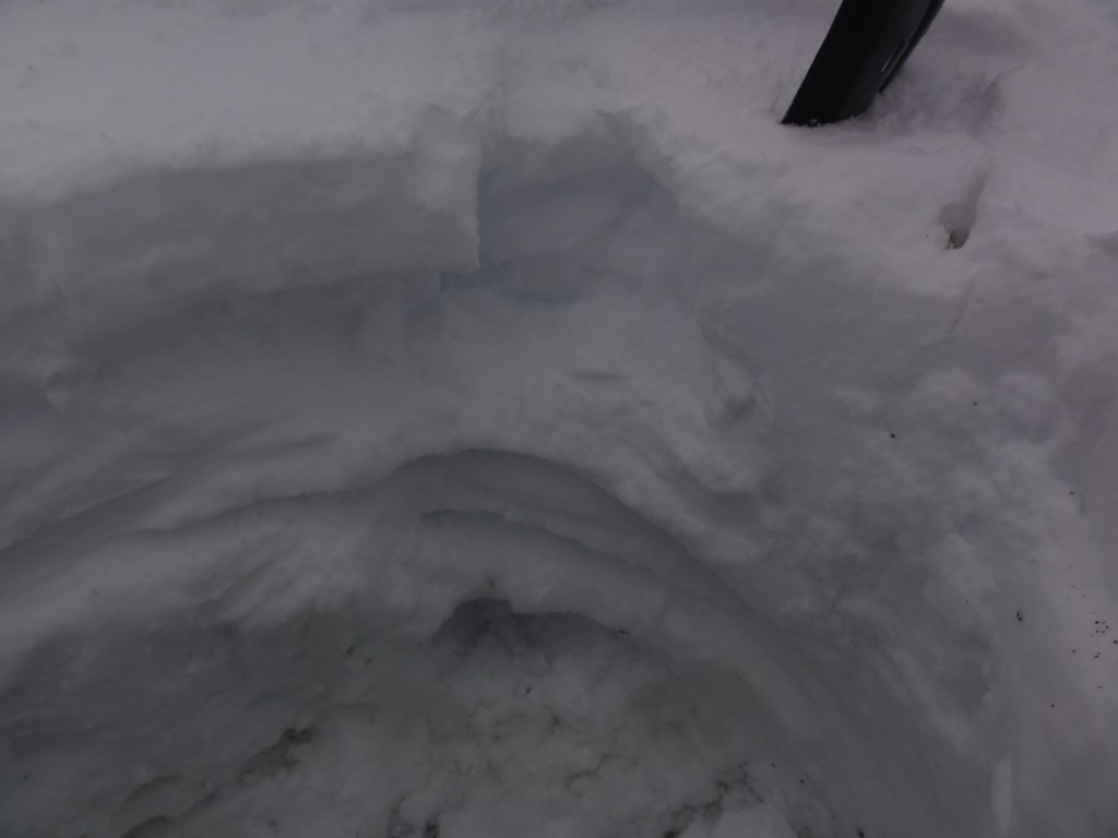La Pautaz: Coupe de la neige à 1550m. La croûte de regel de 15cm sur une couche de neige meuble sans aucune cohésion.