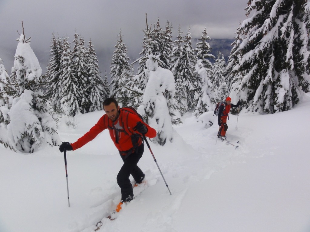 Passage en forêt pour éviter les grandes pentes Est chargées. Altitude 1800m, versant Nord de l'Haut Gentil.