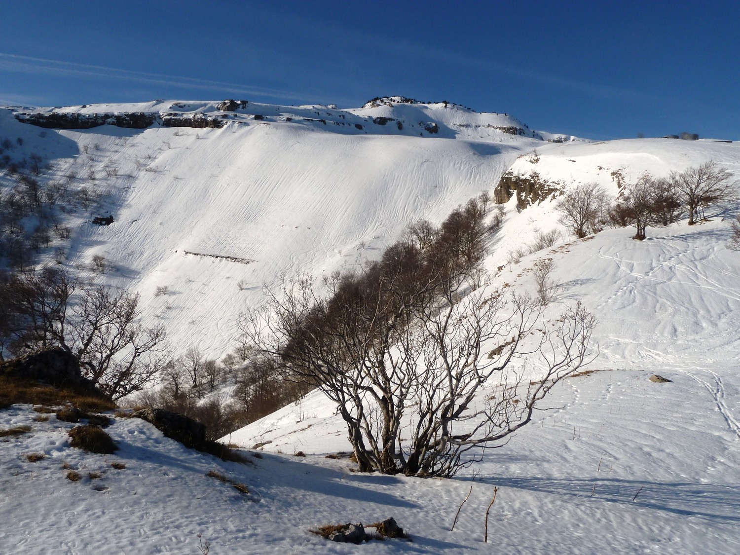 La suite du programme: c'est bien blanc et c'est quand même rare par là-haut!