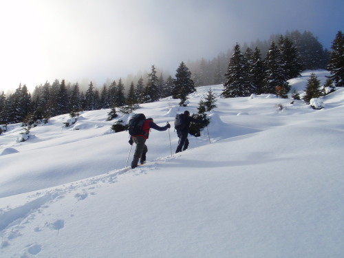 fasi di salita
