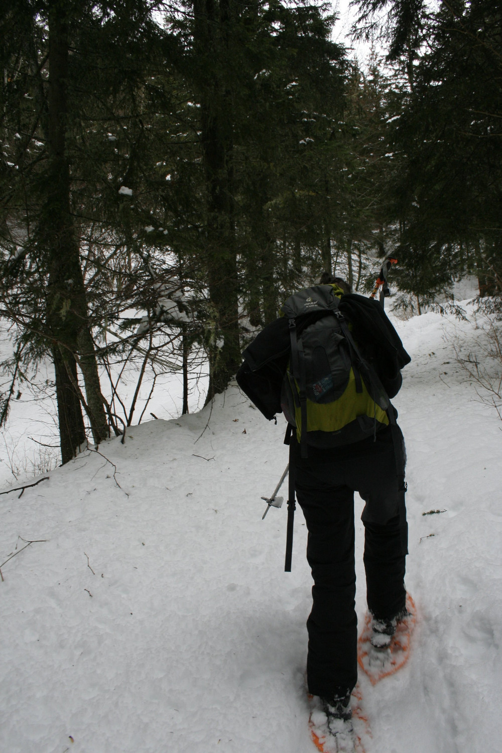 On brasse dans une neige plutôt humide...