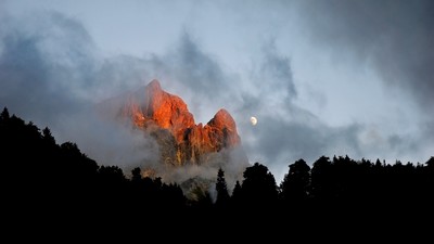 Sa majestée Ossau
