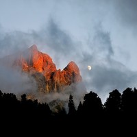 Sa majestée Ossau