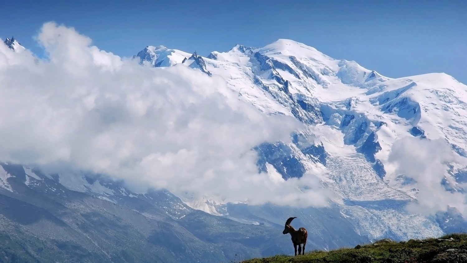 Rencontre sur le chemin du lac Blanc