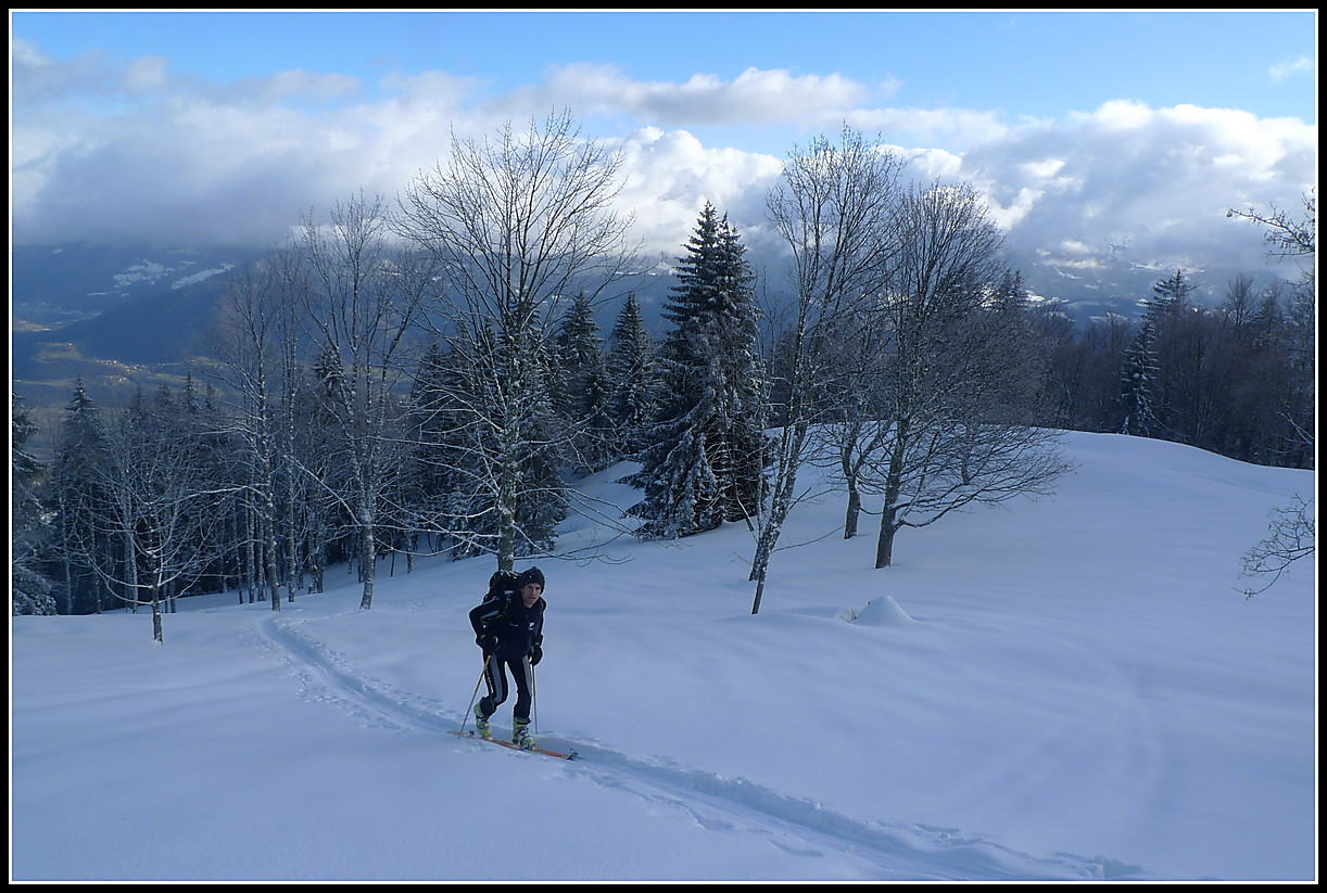 Clairière à 1500m