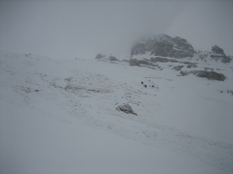 Les purges sous l'Aiguille Verte et Le Buclon