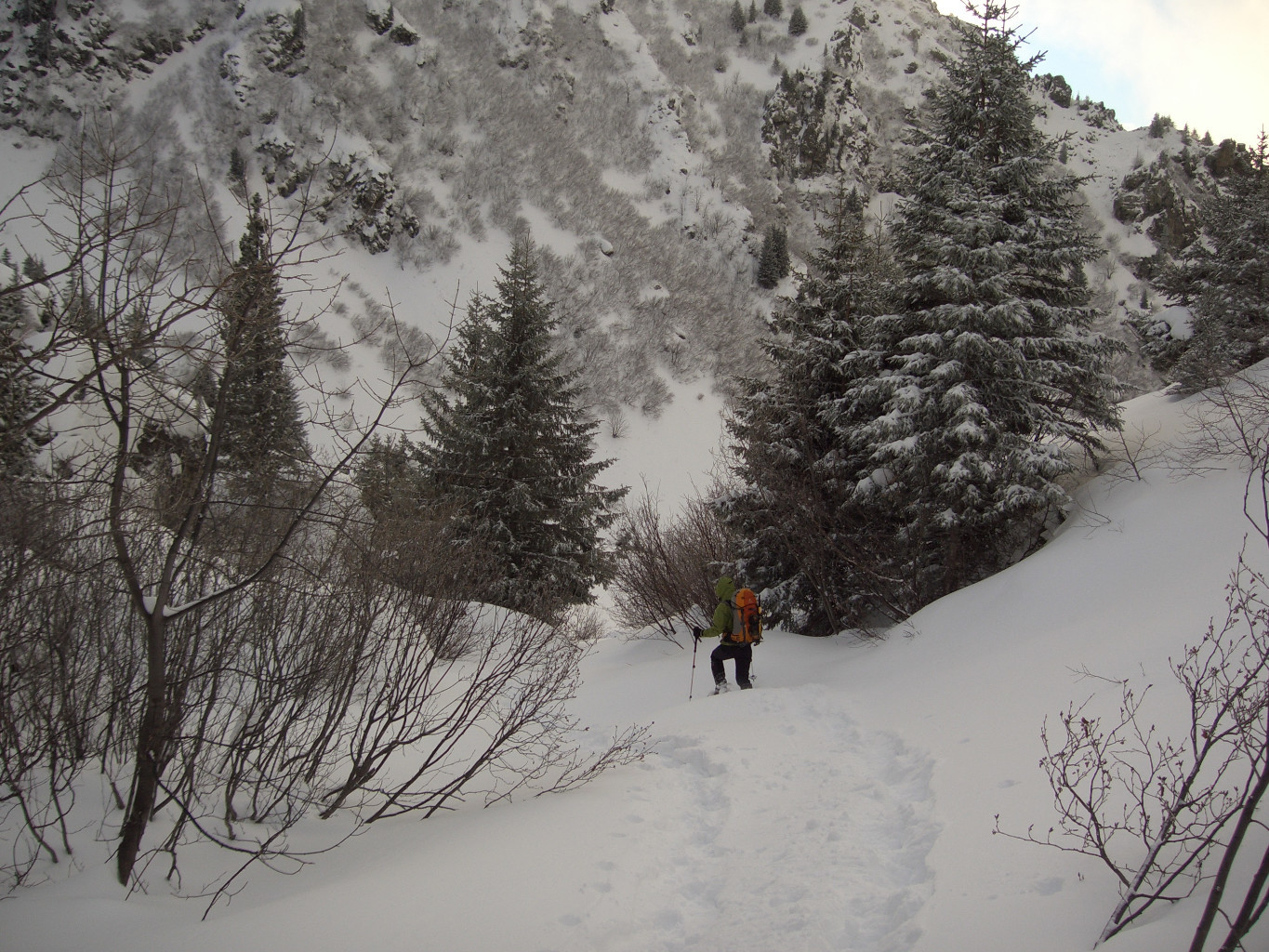 Descente