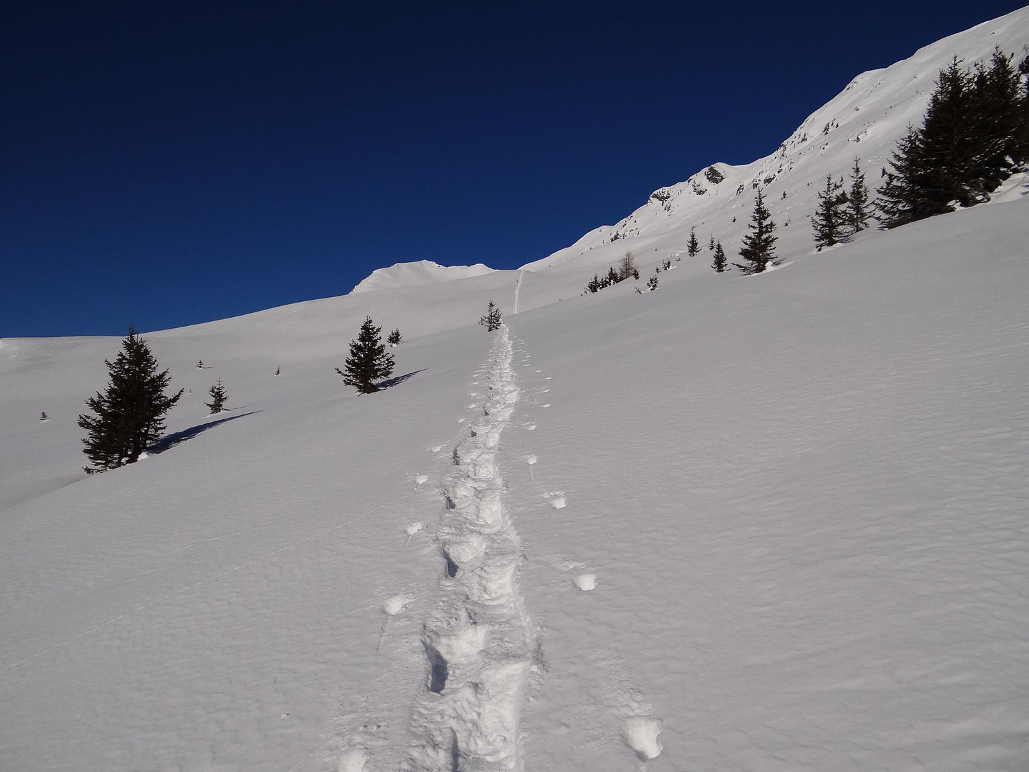Trace de raquetteur sachant bien tracer